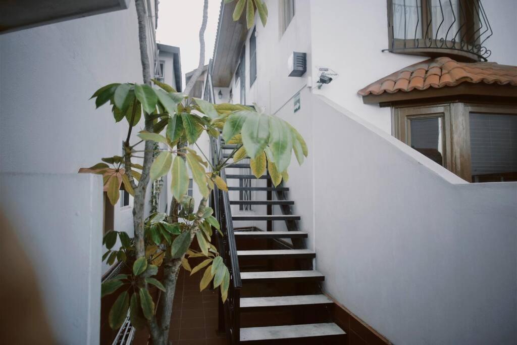 Apartamento Casa Macfarland Boutique Ensenada Exterior foto